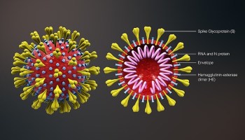INFORMACION CORONAVIRUS  ACTUALIZADA: PROTOCOLOS ACTUALIZADOS Y REFUERZOS CAD